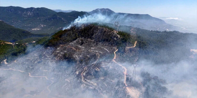 Antalya'da 9 günde 14 orman yangını