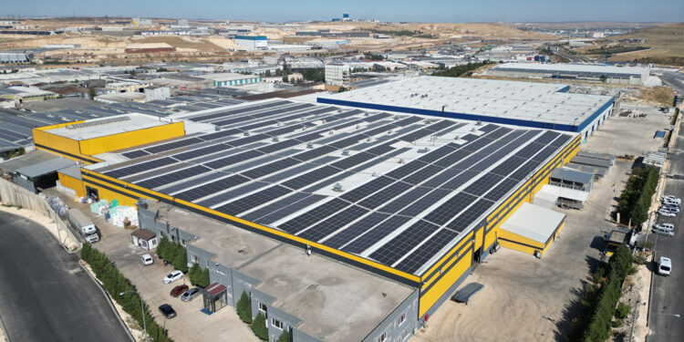 Artemis Halı’dan 61.924 ağaçlık ekolojik katkı