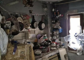 Aydın'da bir evden 4 kamyon çöp ile 12 kedi ve 3 kaplumbağa çıktı