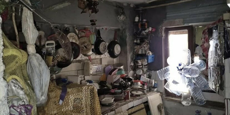 Aydın'da bir evden 4 kamyon çöp ile 12 kedi ve 3 kaplumbağa çıktı