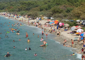 Aydın'da çevrecilerden Milli Park'a girişler sınırlandırılsın talebi