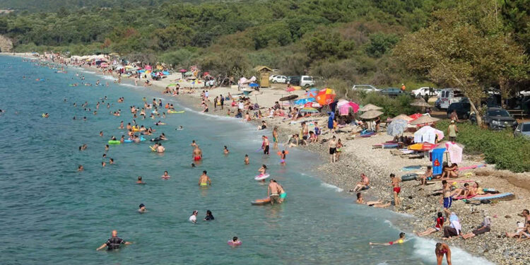 Aydın'da çevrecilerden Milli Park'a girişler sınırlandırılsın talebi