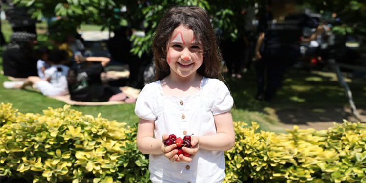 13'üncü Geleneksel Kiraz Festivali'nde renkli görüntüler