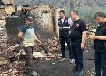 Bilecik'in köylerine sıçrayan orman yangınında 23 ev kül oldu