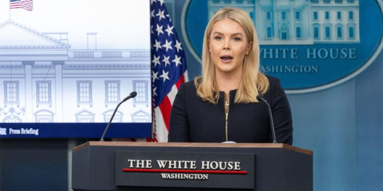 Trump, Türkiye'de Rusya ve Ukrayna liderleriyle görüşmeye açık