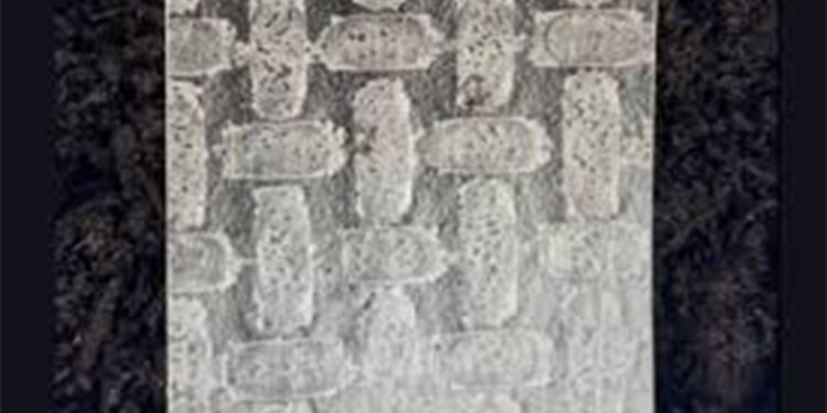 Pirinç yufkasından robot geliştirildi