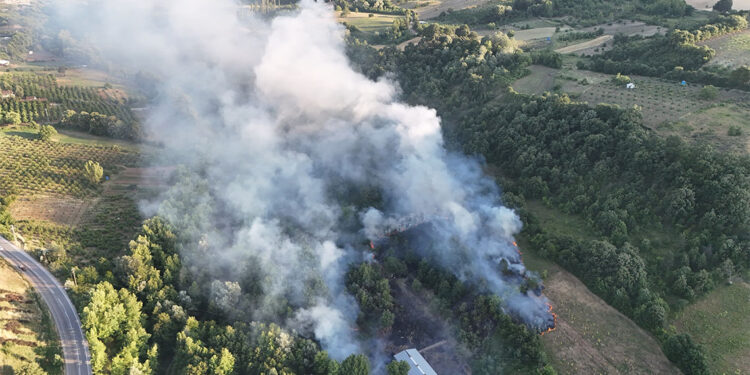 Çöplükte çıkan yangın ormana sıçradı