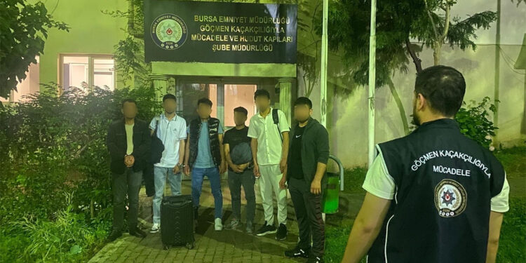 Türkiye'ye giriş yapan 7 kaçak göçmen yakalandı