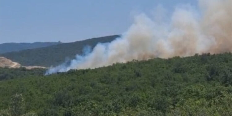 Bursa'da orman yangını çıktı; Yangına havadan destek veriliyor