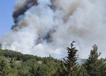 Balıkesir'in Kepsut ilçesinde orman yangını