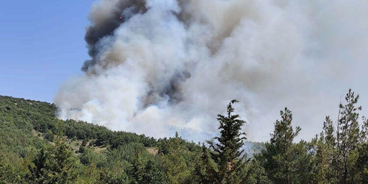 Balıkesir'in Kepsut ilçesinde orman yangını