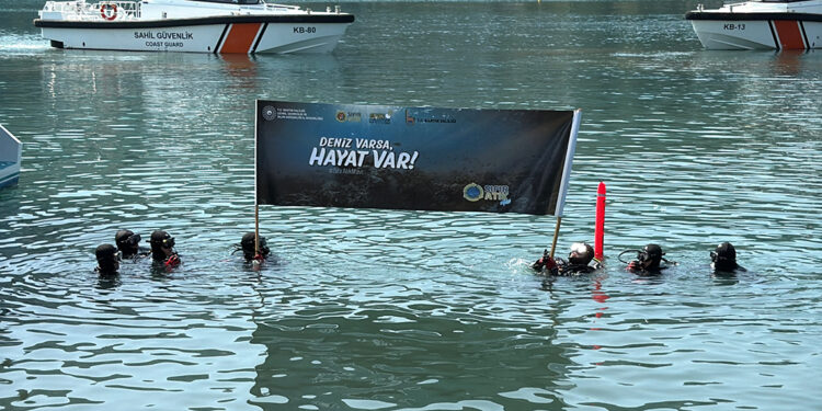 Bartın'da deniz temizliği; florasan lamba ve eski araç lastikleri çıktı 