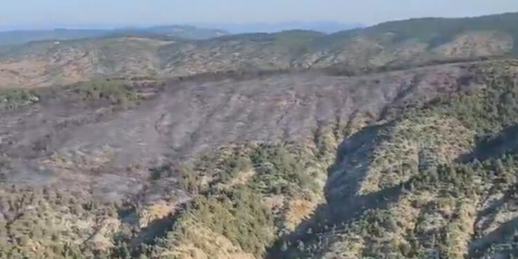 Bilecik'teki orman yangını kontrol altına alındı