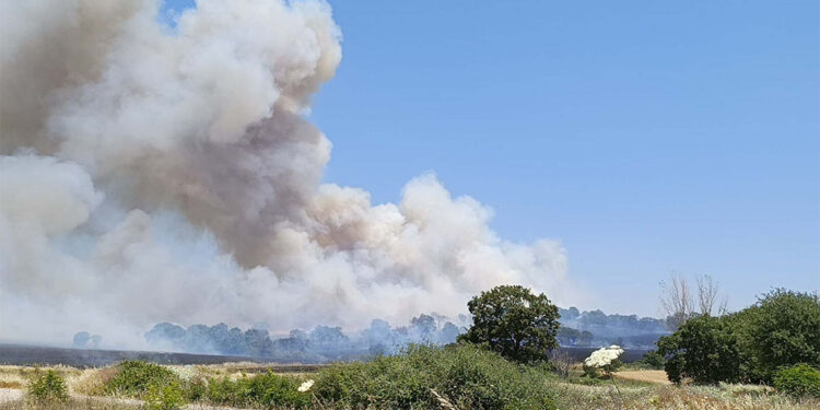 Çanakkale'de tarım arazisinde yangın