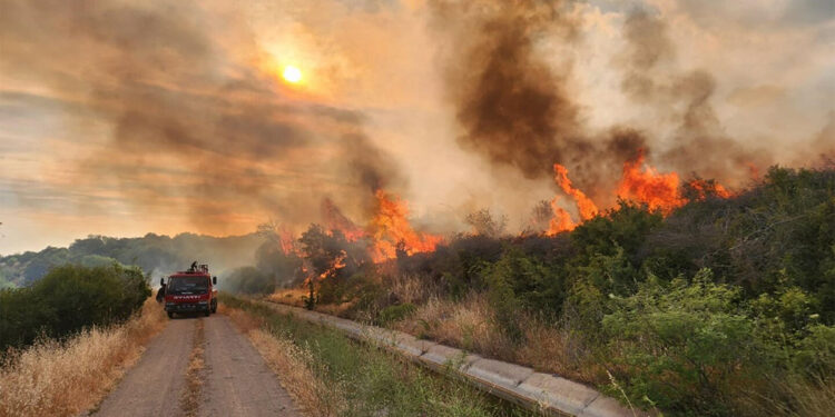 Adana'nın İmamoğlu ilçesinde orman yangını
