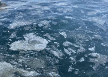 Çanakkale Boğazı'nda müsilaj etkisini kaybetti