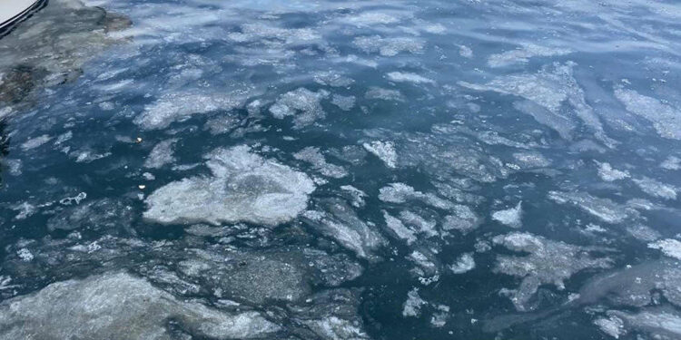 Çanakkale Boğazı'nda müsilaj etkisini kaybetti