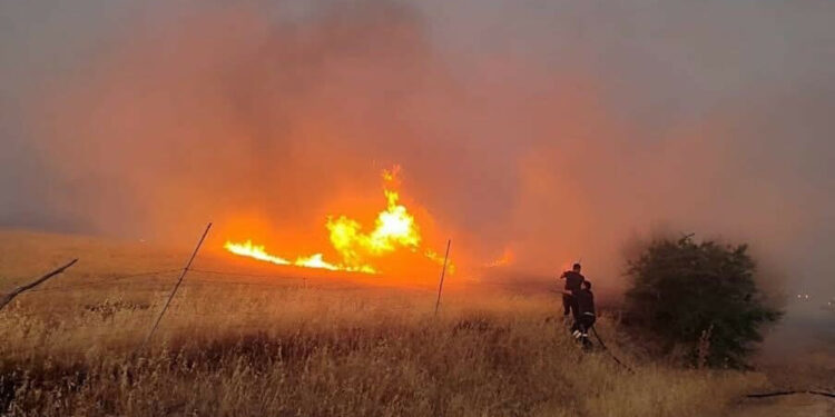 Çanakkale'de tarım arazisinde yangın