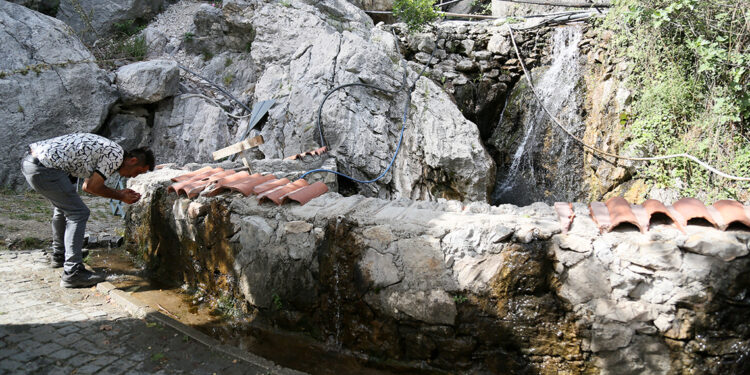 Dağ keçileriyle ünlü Aykırtça Şelalesi'nde 'kuraklık' tehlikesi