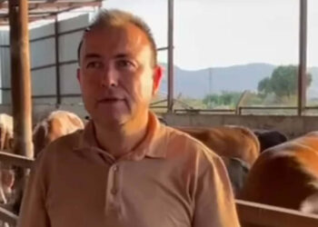 Dananın saldırısına uğrayan iş insanı, 3 gün sonra öldü
