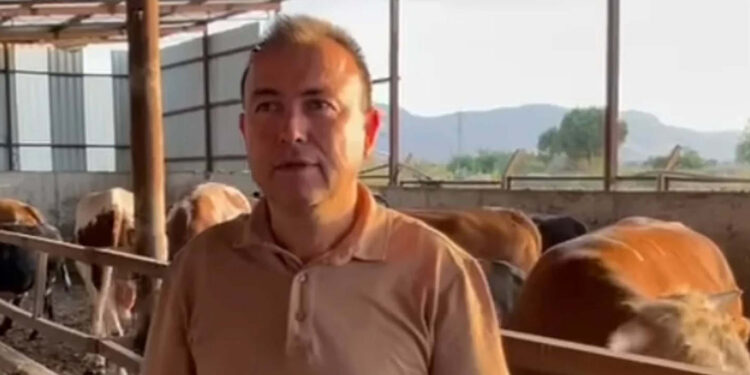 Dananın saldırısına uğrayan iş insanı, 3 gün sonra öldü