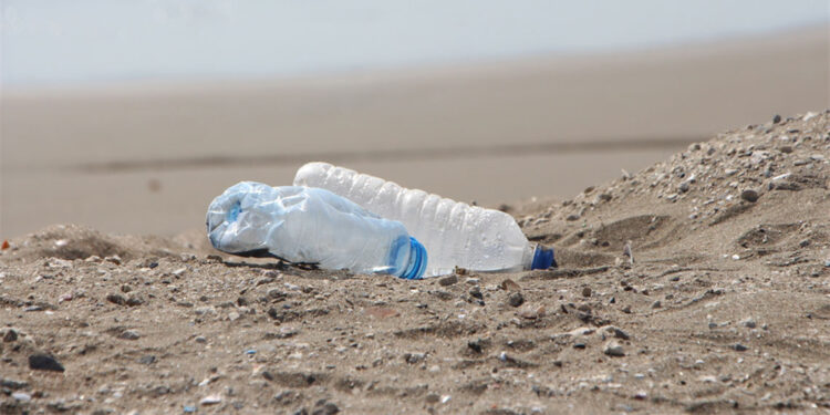 Uzmanından 'plastik' uyarısı: Maruziyet anne karnında başlıyor