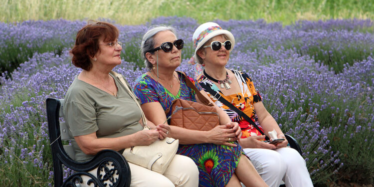 Edirne’de ‘Lavanta Tarla Günleri’ başladı