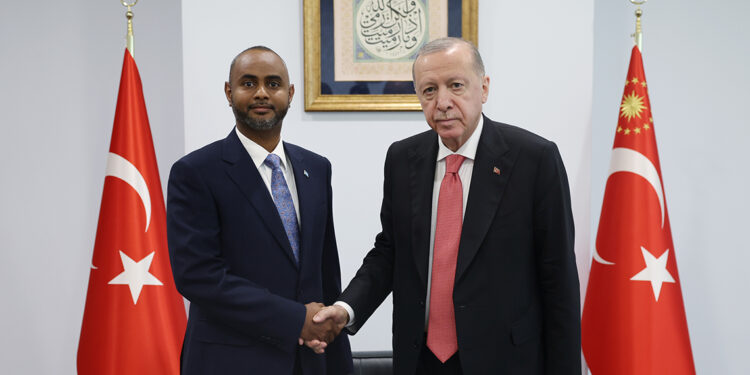 Erdoğan, Somali Ulaştırma Bakanı'nı kabul etti