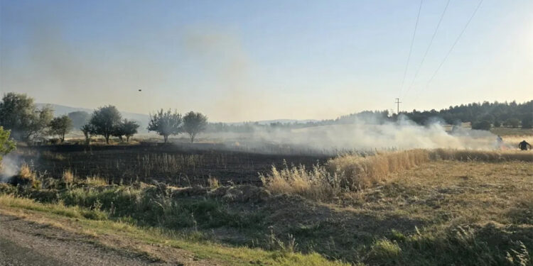 Gediz'de çıkan tarla yangınında, 5 dönüm ekili alan küle döndü