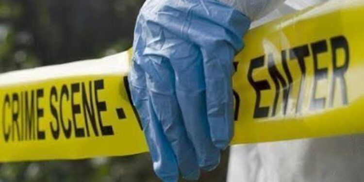 Güney Afrika'da silahlı saldırı: 7 ölü