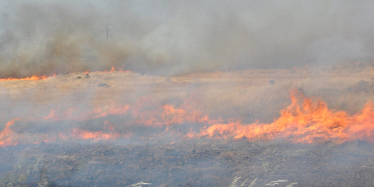 Gaziantep'te anız yangını 4 saatte söndürüldü