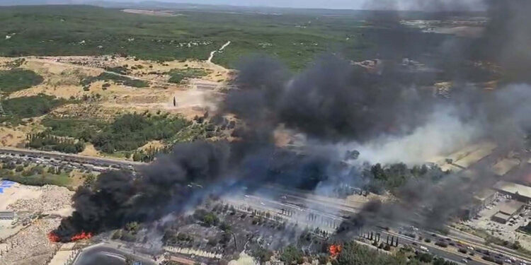 Gaziemir'deki orman yangınında yeni detayla ortaya çıktı