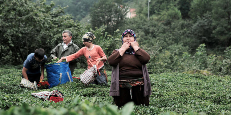 Giresun'da 'Islık Dili' çalıştayı