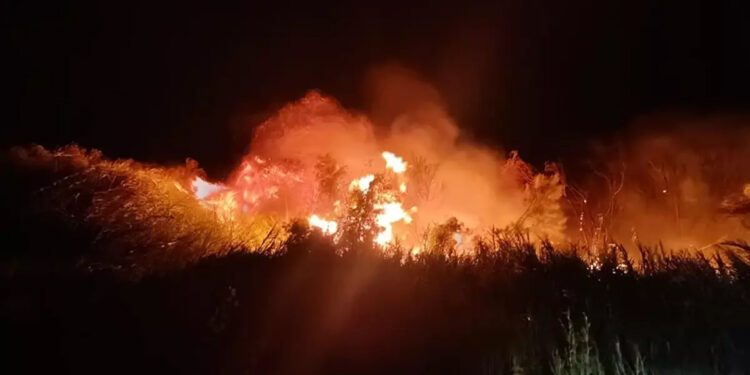 Göksu Deltası'nda sazlık yangını kontrol altında