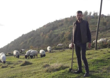 Gümüşhane'de kenenin ısırdığı çoban öldü