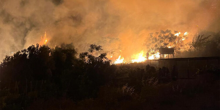 Hatay'da ağaçlık alanda çıkan yangın söndürüldü