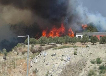 Antakya'da orman yangını! Alevler çevreye yayıldı