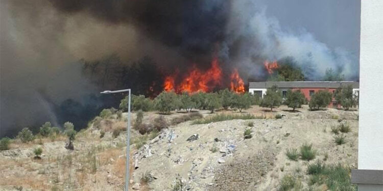 Antakya'da orman yangını! Alevler çevreye yayıldı