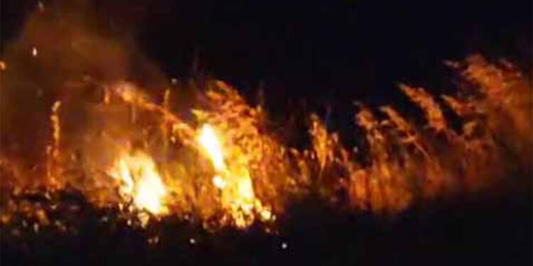 Bursa'da havai fişek ormanı tutuştururdu