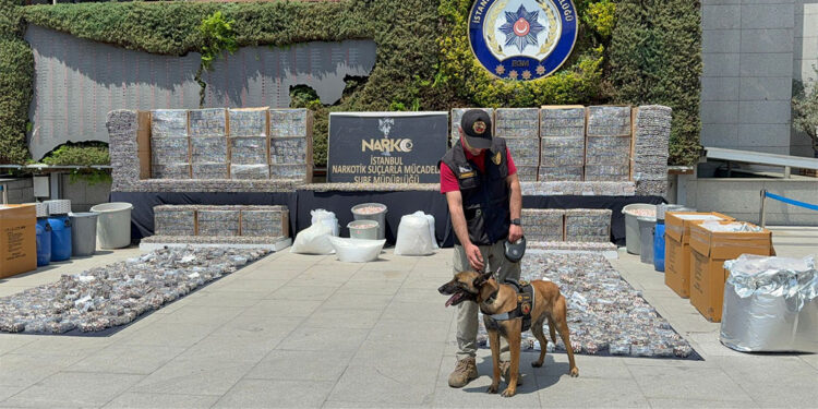 İstanbul'da uyuşturucu operasyonunda ele geçirilenler sergilendi