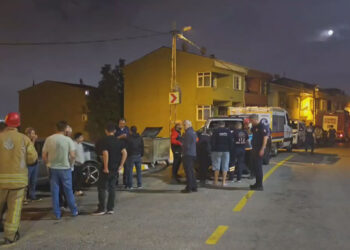 Pendik'te ormanda kaybolan kişi için arama çalışması