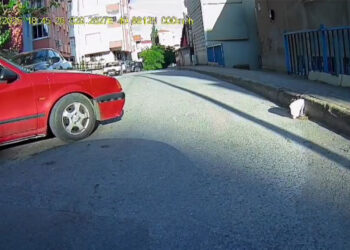 Trafikte tartıştığı sürücüyü kızının yanında bıçakla tehdit etmişti; tutuklandı