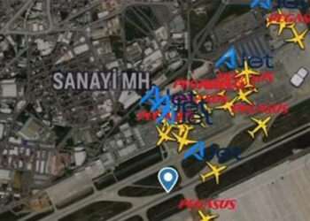 Sabiha Gökçen Havalimanı’nda pistin içinde tavşan dolaşıyor