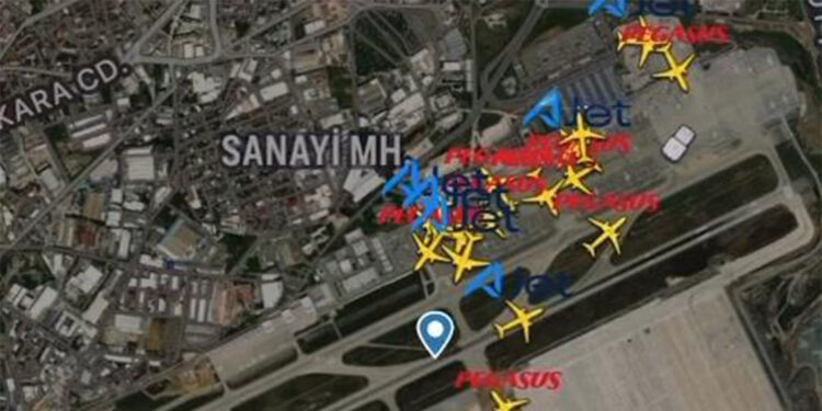 Sabiha Gökçen Havalimanı’nda pistin içinde tavşan dolaşıyor