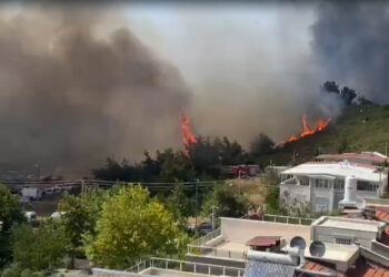 İzmir'de alevler yerleşim yerlerine sıçradı