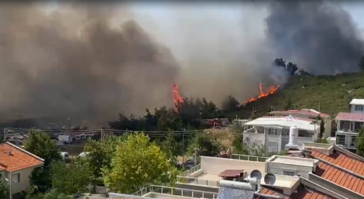 İzmir'de alevler yerleşim yerlerine sıçradı