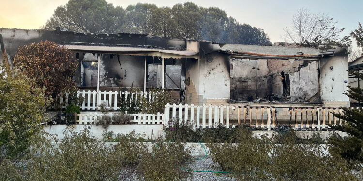 Seferihisar'da çıkan yangının hasarı gün aydınlanınca ortaya çıktı