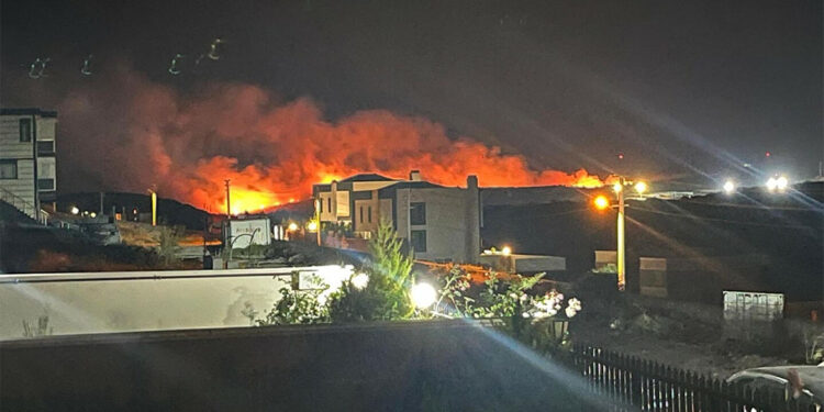 İzmir'de çıkan otluk yangını rüzgarla şiddetini artırdı