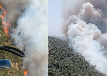 Foça'da ormanlarımız yanıyor