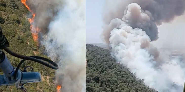 Foça'da ormanlarımız yanıyor